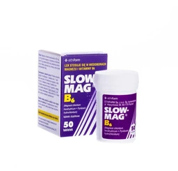 Slow-Mag B6 64 mg Mg 2+ + 5 mg tabletki powlekane dojelitowe 