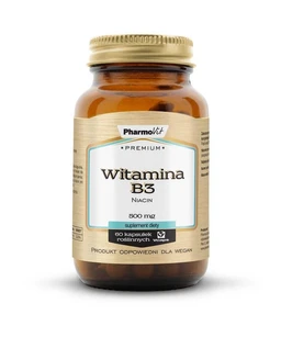 Witamina B3 Premium 500 mg kapsułki 