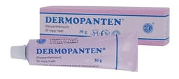 Dermopanten 50 mg/g maść 