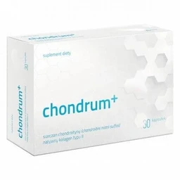 chondrum+ 500 mg+40 mg+20 mg kapsułki 