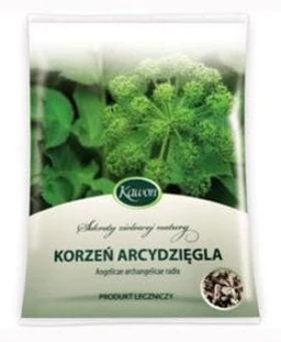 Korzeń Arcydzięgla 1 g/g zioła do zaparzania 