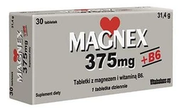 Magnex 375 mg + B6 375 mg+2,2 mg tabletki 