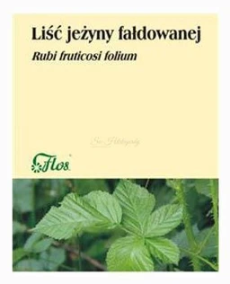 Flos Liść Jeżyny fałdowanej zioła do zaparzania 