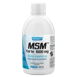 MSM Forte 1000 mg 1000 mg+300 mg/porcję płyn 