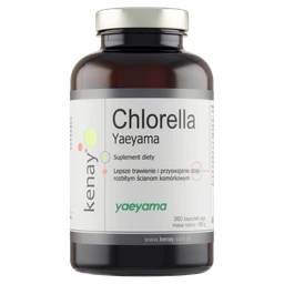 Chlorella Yaeyama 500 mg tabletki 