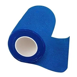 0_555472240731
