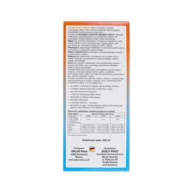 Floradix Wapń i Magnez płyn - 250 ml