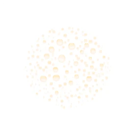 1_566469260211
