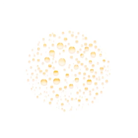 1_570728250304