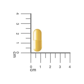 4_460096230209