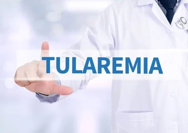 Tularemia – przyczyny, objawy, leczenie i profilaktyka