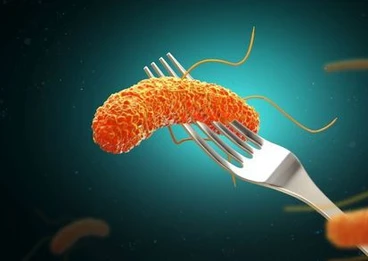 Salmonella – objawy, sposoby przenoszenia, leczenie i profilaktyka 